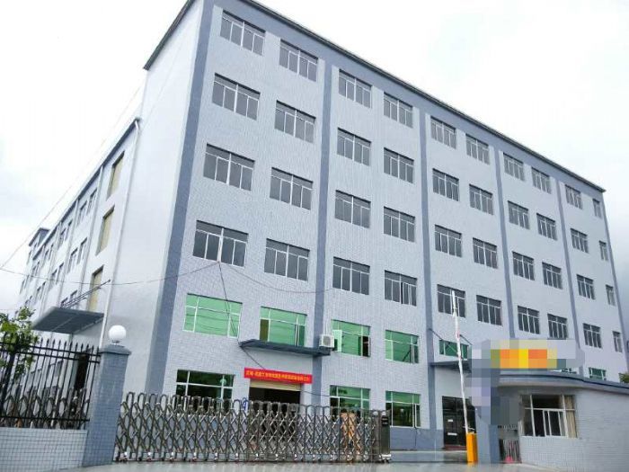 常平镇桥沥村全新独门独院厂房正式招租 大小可分组 - 5