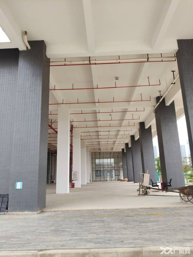 中山翠亨新区稀缺海景标准厂房 - 6