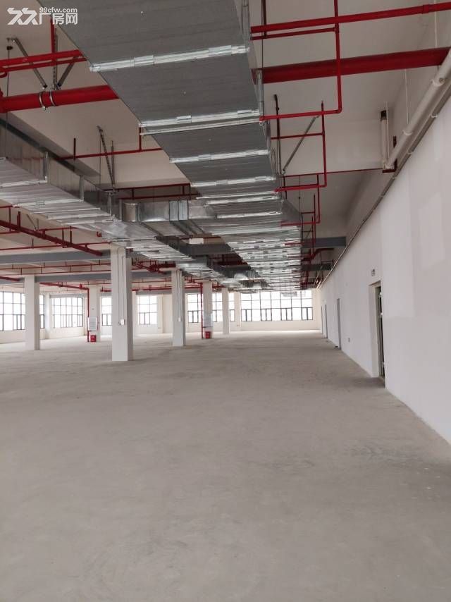 中山翠亨新区稀缺海景标准厂房 - 5