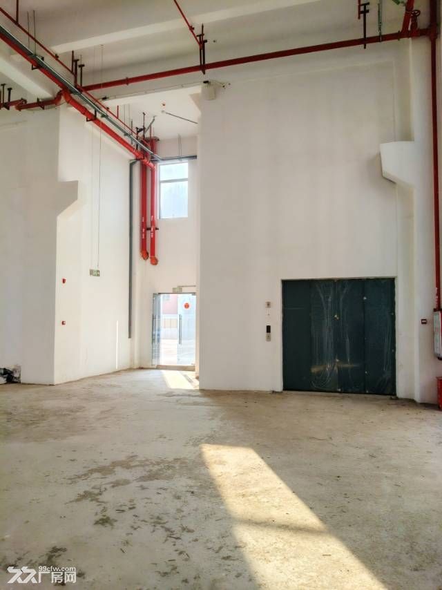 中山翠亨新区马鞍岛深中通道出口附近原房东新建高标厂房