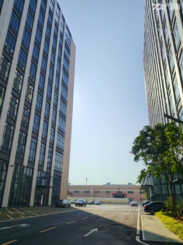 中山翠亨新区马鞍岛深中通道出口附近原房东新建高标厂房 - 6