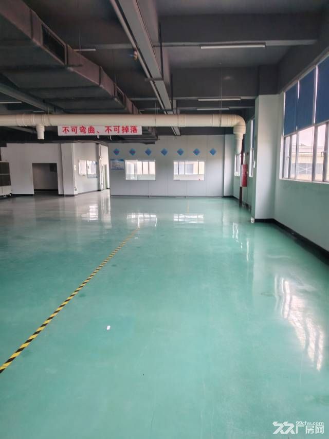 中山翠亨新区南朗国道旁原房东精装厂房 - 7