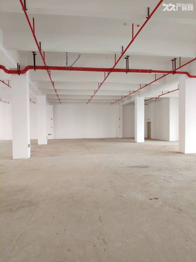 中山翠亨新区马鞍岛深中通道出口附近原房东新建高标厂房 - 3