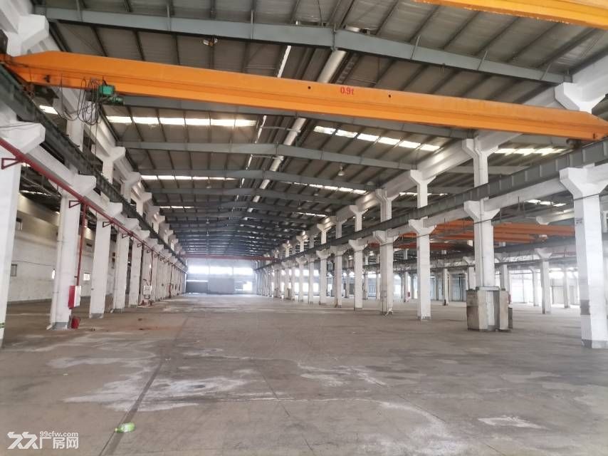 中山独门独院重工业物流园11元出租 - 3