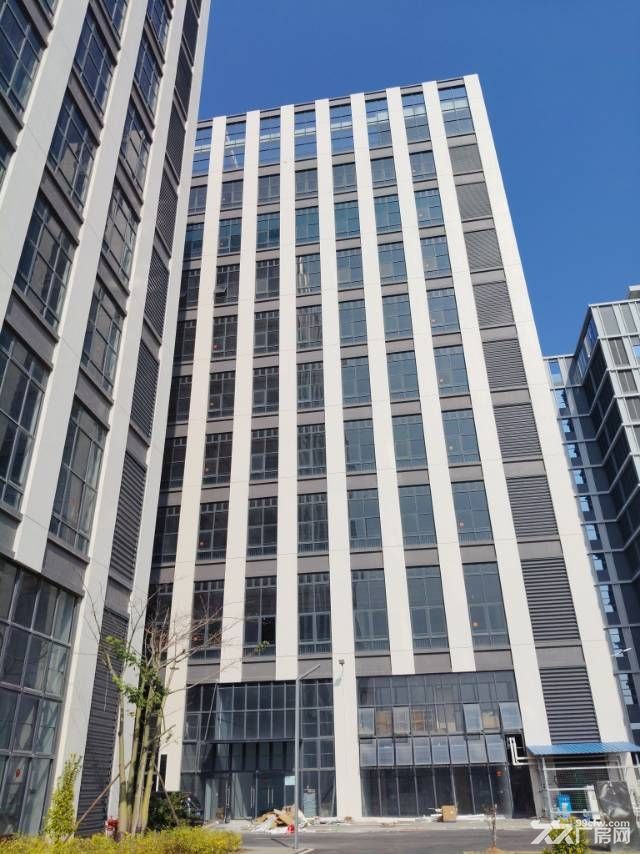 中山翠亨新区马鞍岛深中通道出口附近原房东新建高标厂房 - 2