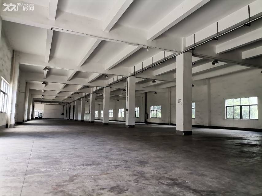 中山独门独院重工业物流园11元出租 - 8