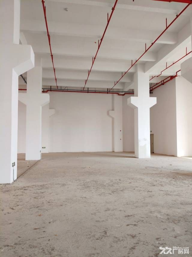 中山翠亨新区马鞍岛深中通道出口附近原房东新建高标厂房 - 7