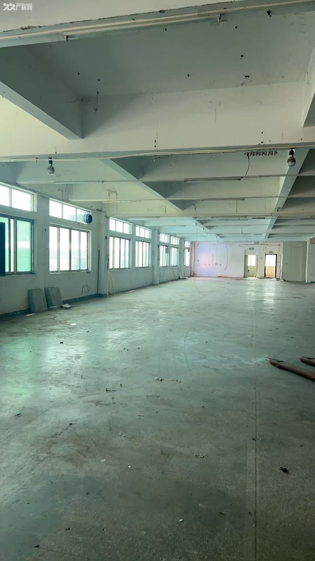 中山市横栏镇高精制造业智能厂房招租 - 3