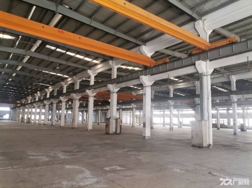 中山独门独院重工业物流园11元出租 - 4