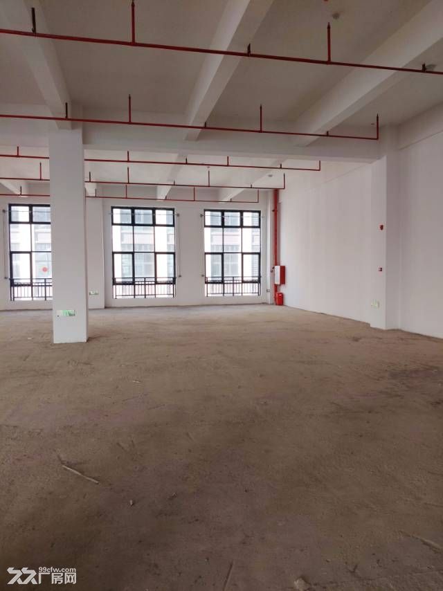 中山翠亨新区马鞍岛深中通道出口附近原房东新建高标厂房 - 5