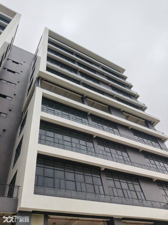 中山翠亨新区稀缺海景标准厂房 - 4