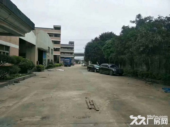 东莞凤岗近观兰单一层钢结构独院厂房出租6000平 - 4
