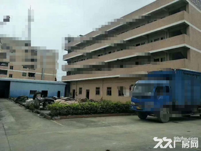 东莞凤岗近观兰单一层钢结构独院厂房出租6000平 - 3