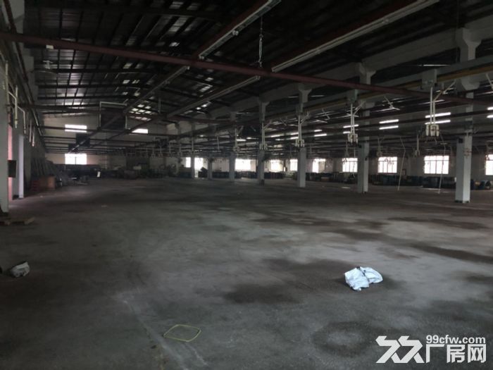 凤岗建筑材料 模具钢材 玻璃 汽车配件独院钢结构厂房出租 - 3
