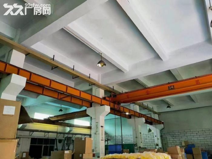 塘厦外环高速出口一楼厂房出租960平有行车 可做五金模具注塑 - 3