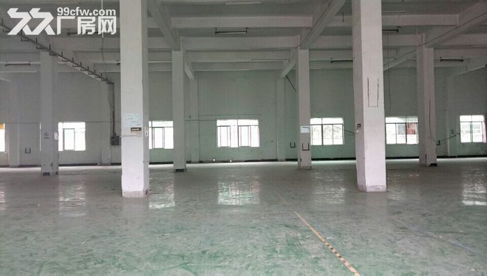 清溪荔横出租独院一楼1300平厂房，适合仓库贸易 - 4