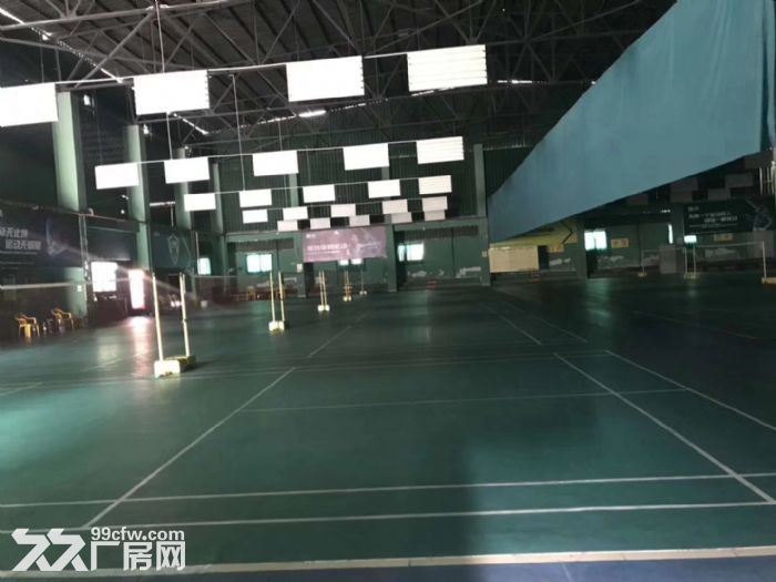 清溪土桥出租独院滴水12米钢构2800平,价格优惠 - 3