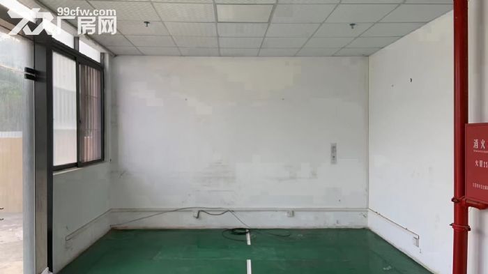 凤岗金凤凰转盘马路边上新出标准一楼500平方出租 水电齐全 - 3