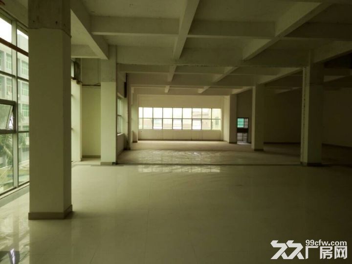 凤岗 一楼700、1500平适合五金/模具/注塑