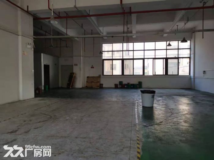凤岗金凤凰转盘马路边上新出标准一楼500平方出租 水电齐全 - 5
