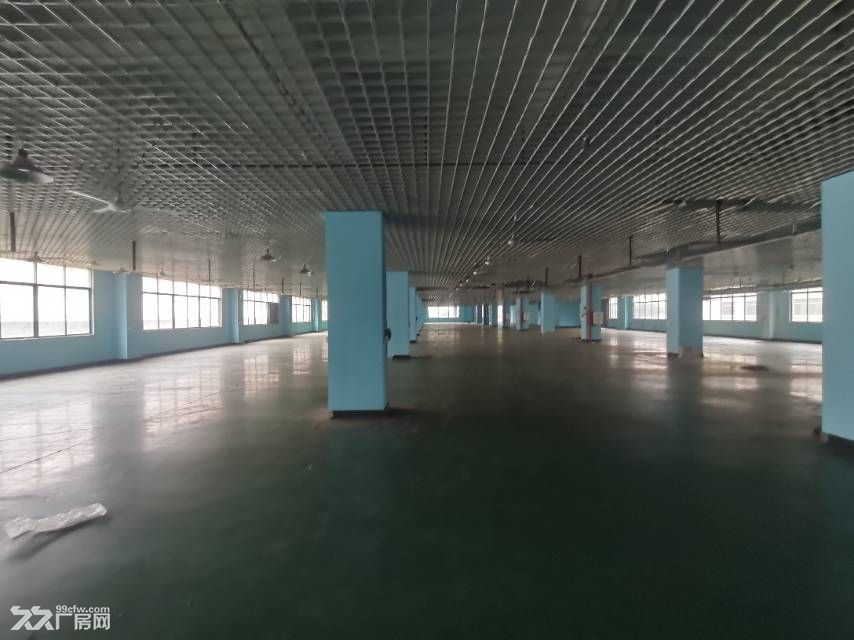 寮步靠石大路原房东带行车标准独院厂房招租 - 8