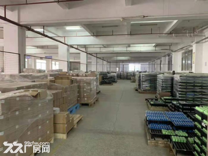塘厦田心科苑城独门独院厂房出租10000平方 电量大 近高速 - 3