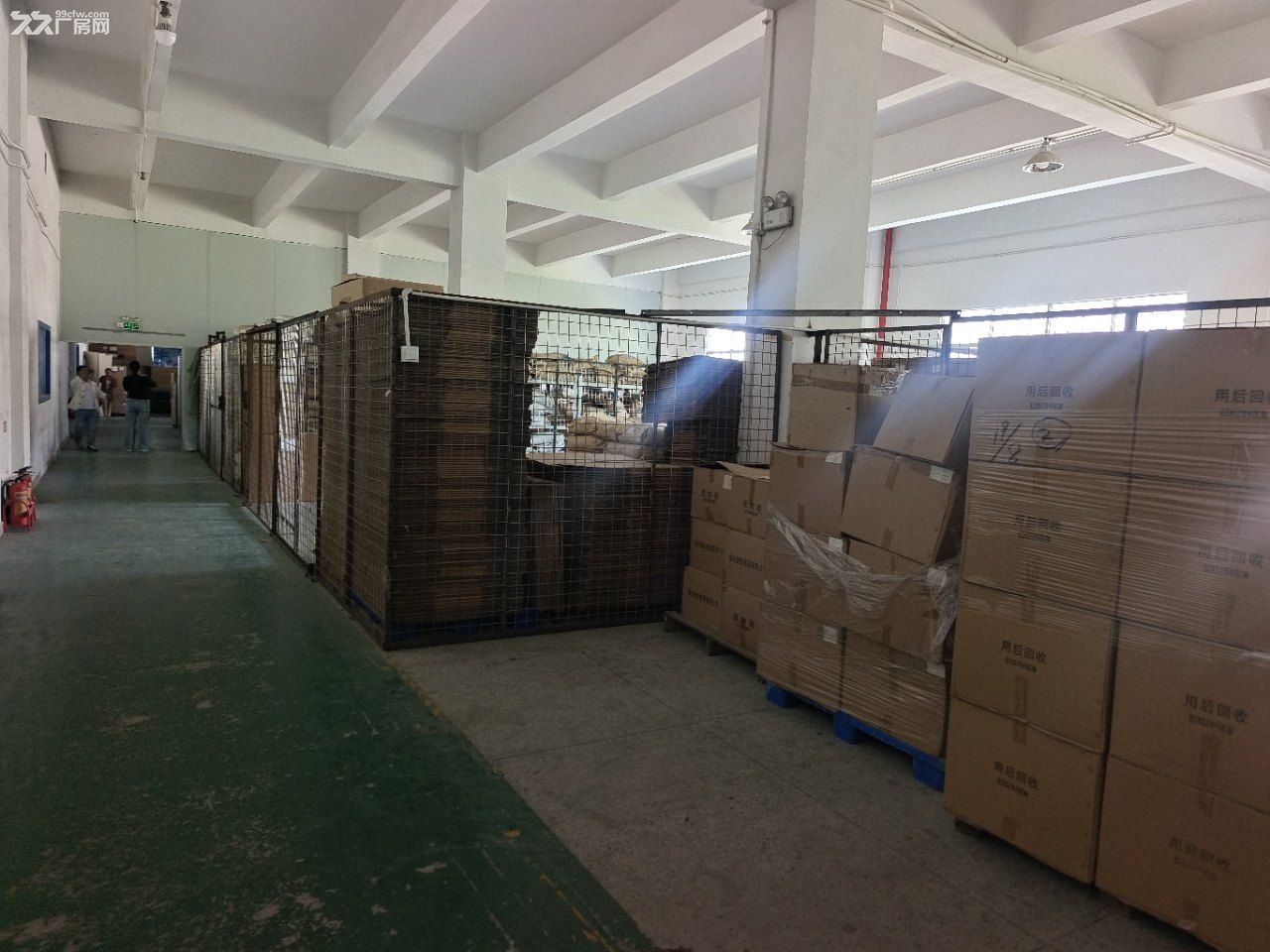凤岗独门独院厂房出租12000平 一楼层高6.9米 - 3