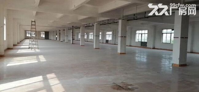 常平镇环城路工业区三层独院厂房，现成喷漆环评设备，空地3000平 - 4