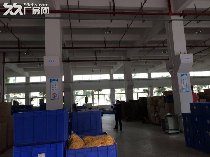 凤岗:1-3层花园式厂房出5400租 水电齐全 - 3
