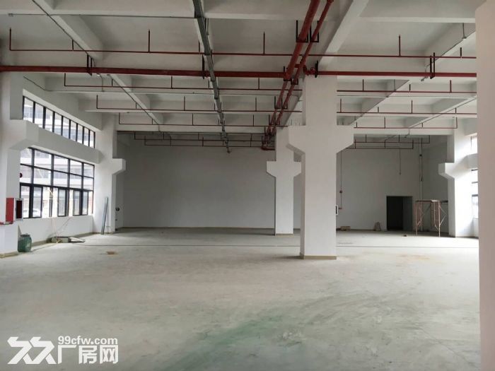 凤岗金凤凰工业区一楼厂房出租650平方 - 2