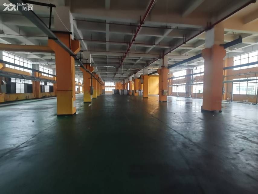 寮步靠石大路原房东带行车标准独院厂房招租 - 7