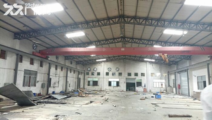 清溪新鲜出炉独院钢构厂房1300平火爆出租 带行 - 3