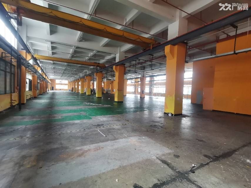 寮步靠石大路原房东带行车标准独院厂房招租 - 6