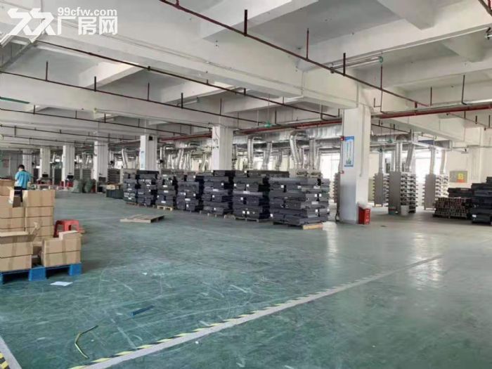 塘厦田心科苑城独门独院厂房出租10000平方 电量大 近高速 - 4