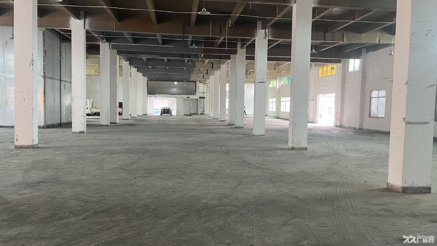 惠州8000平大靓厂房出租价格好谈 - 4
