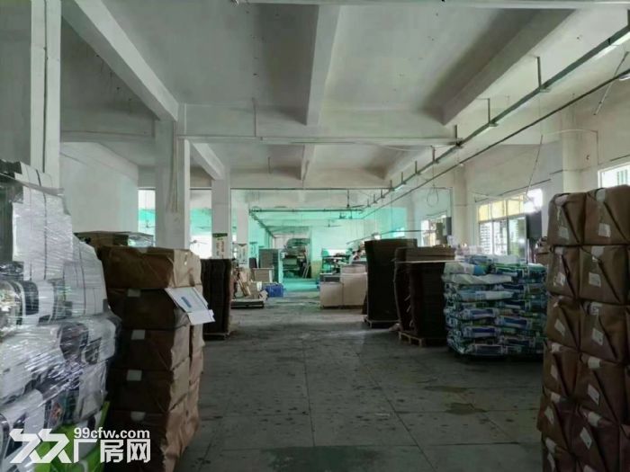 塘厦原房东独门独院面积16500平出租 可大小分租 证件齐全 - 3