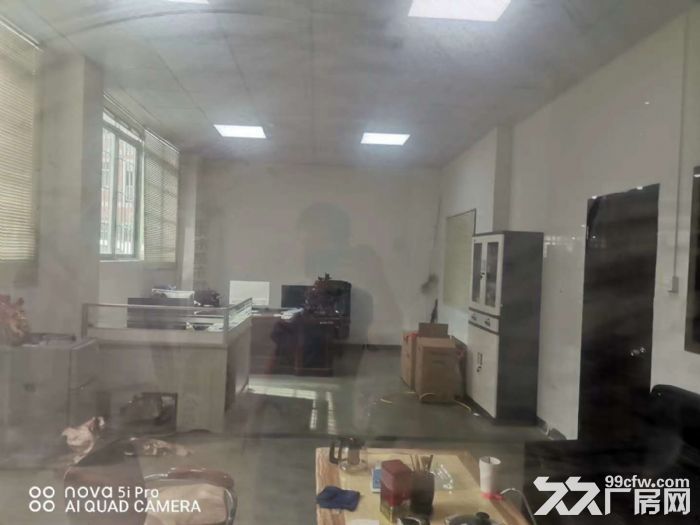 塘厦138工业区 一楼标准厂房出租1200平 光线好 空地大 - 3