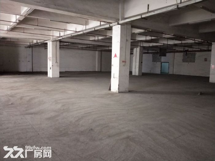 清溪三中出租一楼可做喷油,注塑厂房1500平水电齐 - 2