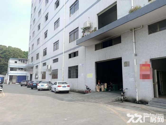 凤岗五联石头岭 一楼厂房出租600平 适合塑胶五金模具 - 2