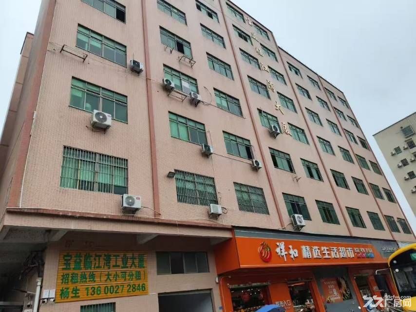 ?《一新民陆丰东街二号(宝益工业大厦) - 3