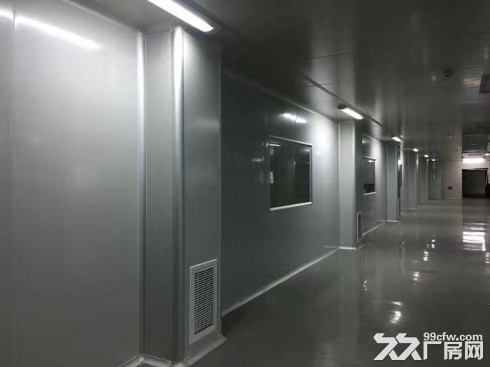 凤岗五金城附近 独门独院厂房出租4500平 近沙岭 - 4