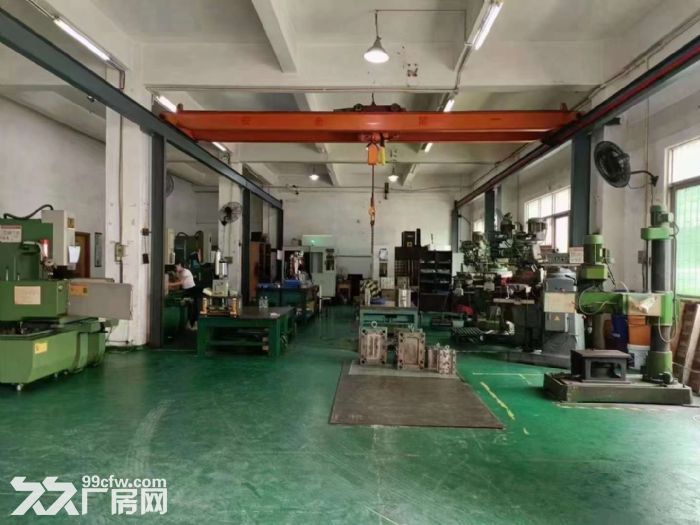 塘厦原房东独门独院面积16500平出租 可大小分租 证件齐全 - 4