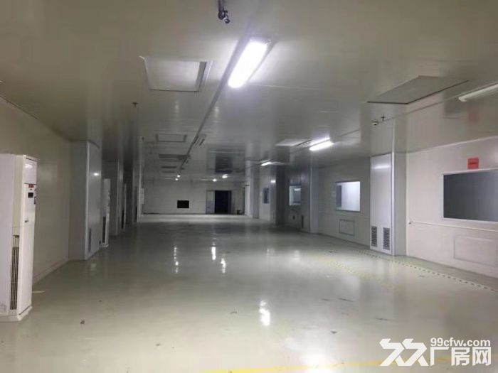 凤岗五金城附近 独门独院厂房出租4500平 近沙岭 - 3