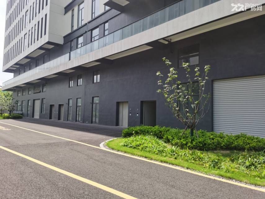 瓜沥群益村全新国资园区双拼厂房招租 - 5