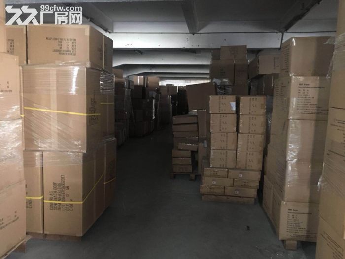 凤岗油甘埔出租一楼带牛角厂房1300平方，面积实在 - 3