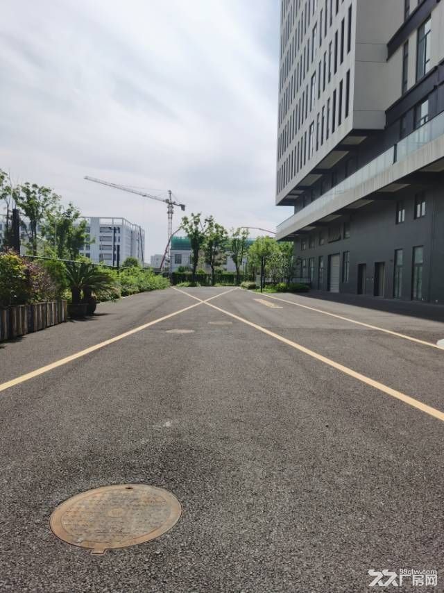 瓜沥群益村全新国资园区双拼厂房招租 - 4