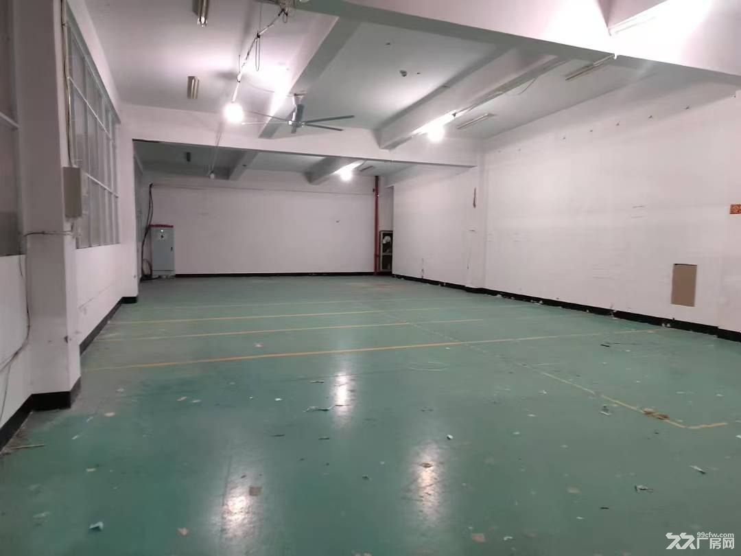 康桥街道森湖中心482平方厂房招租 - 4