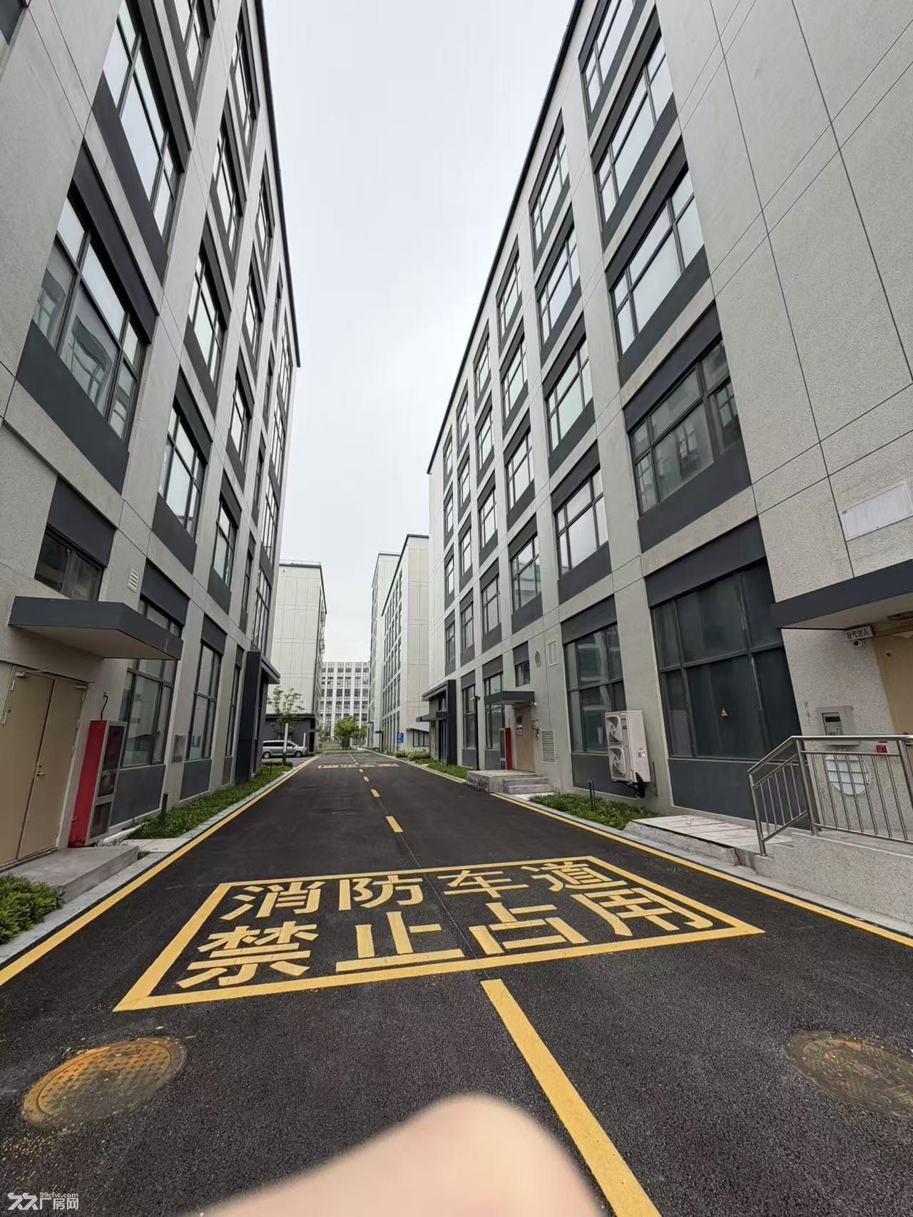 春江街道医械园区｜长深高速口 医械生产厂房招商 - 2