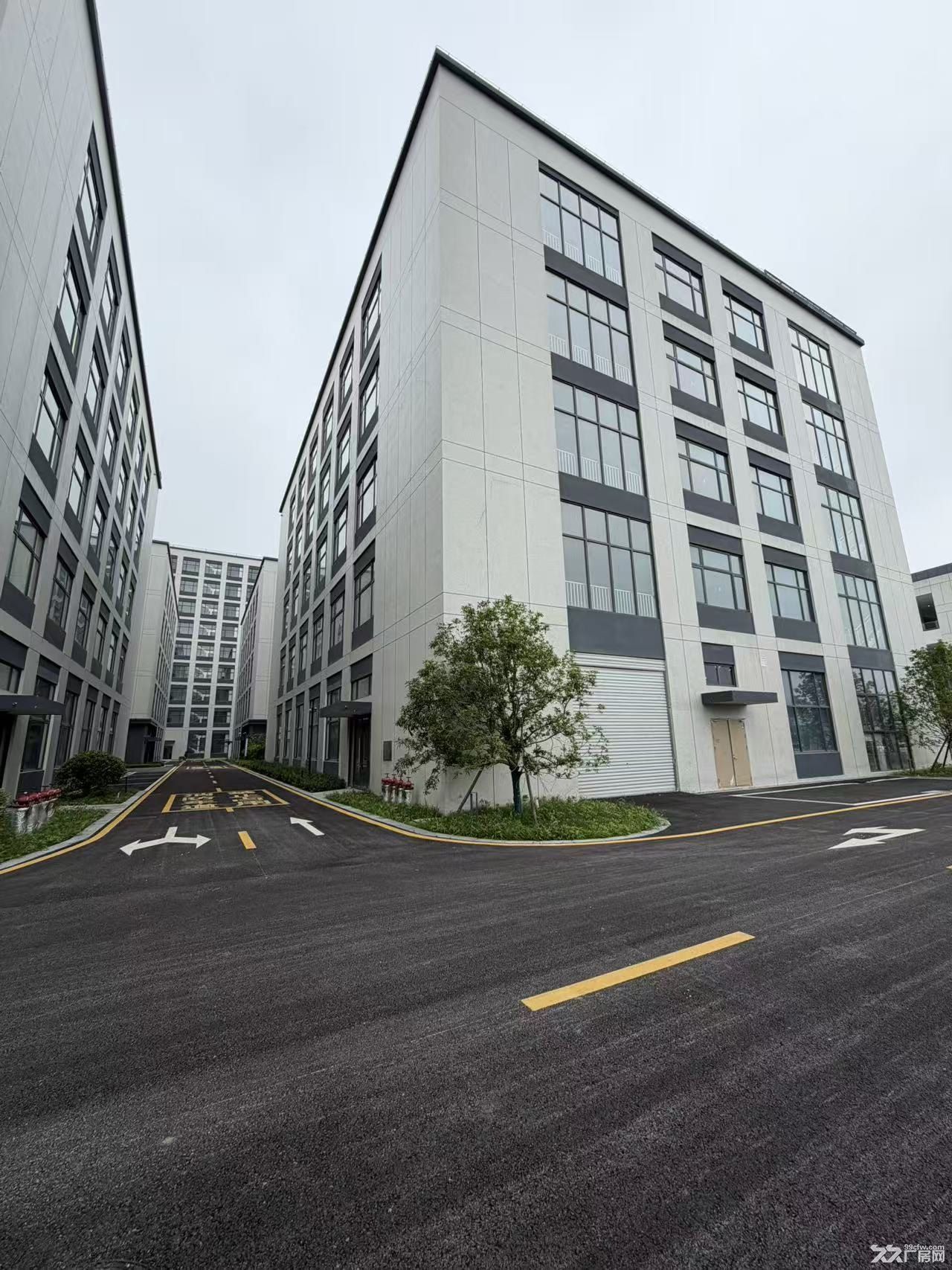春江街道医械园区｜长深高速口 医械生产厂房招商 - 3