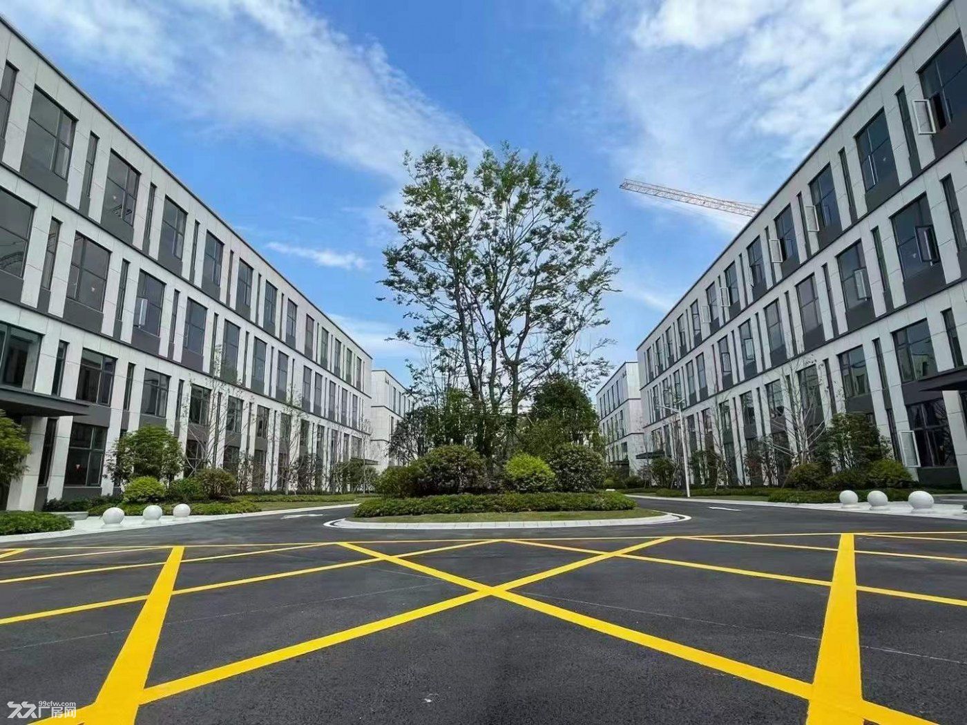 江北好厂房来了，全新50年产权 - 6